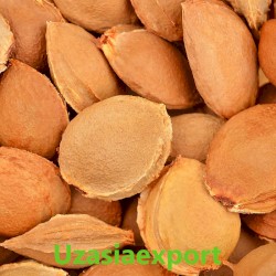 Apricot kernels